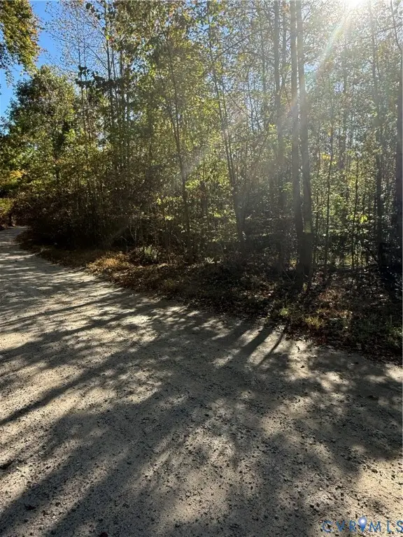 Doswell Town Rd Dt Road 8 Ac, Lunenburg, VA 23954 - Image #2