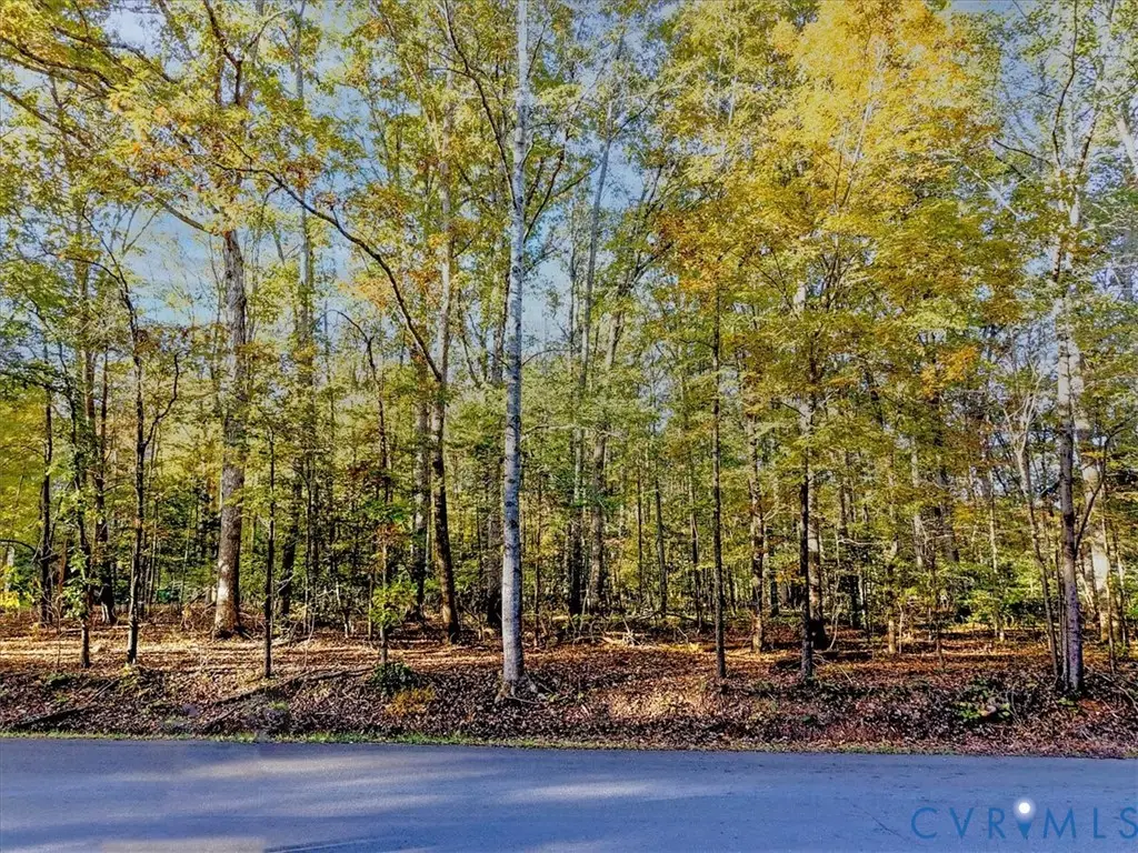 TBD Old River Trail, Powhatan, VA 23139 - Image #1