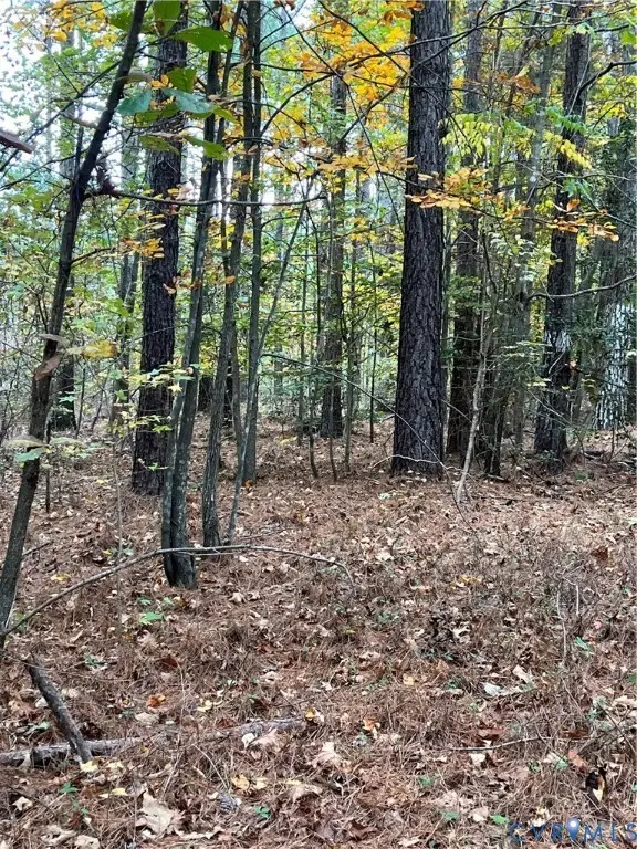 10565 Continental Road, Quinton, VA 23141 - Image #2