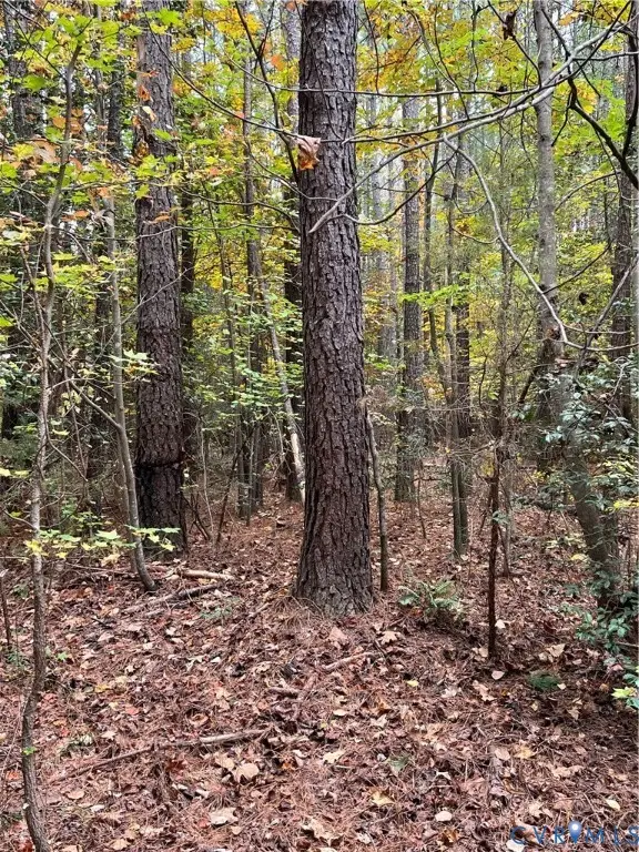 10565 Continental Road, Quinton, VA 23141 - Image #3