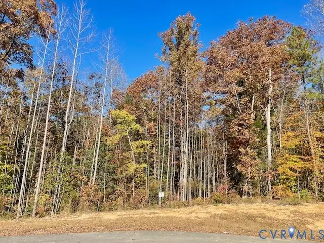 11801 Chesdin Bluff Terrace, Chesterfield, VA 23838 - #1
