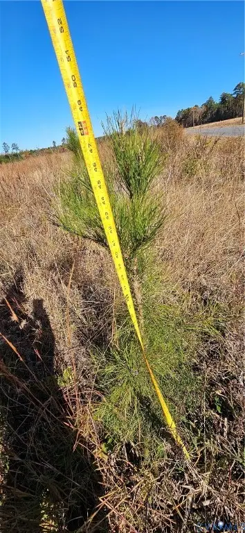 36-201A Hussey's Creek Road, Farnham, VA 22460 - Image #2