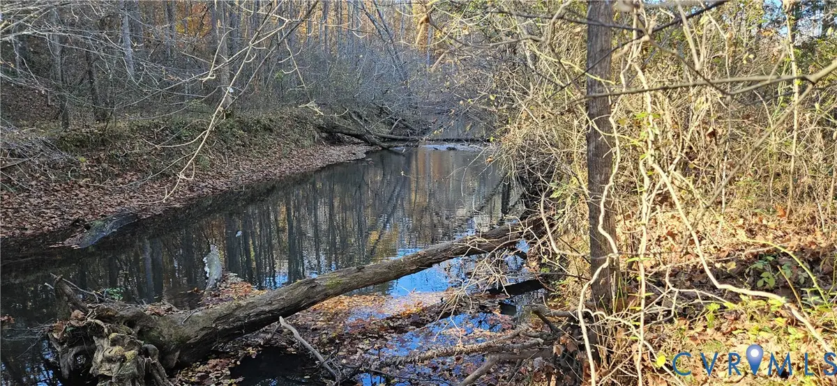 0 Level Drive, Doswell, VA 23015 - #1