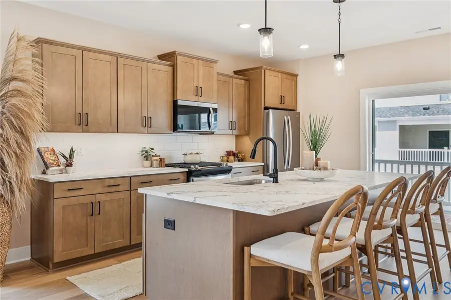 12031 Flowering Lavender Loop, Henrico, VA 23233 - Image #2