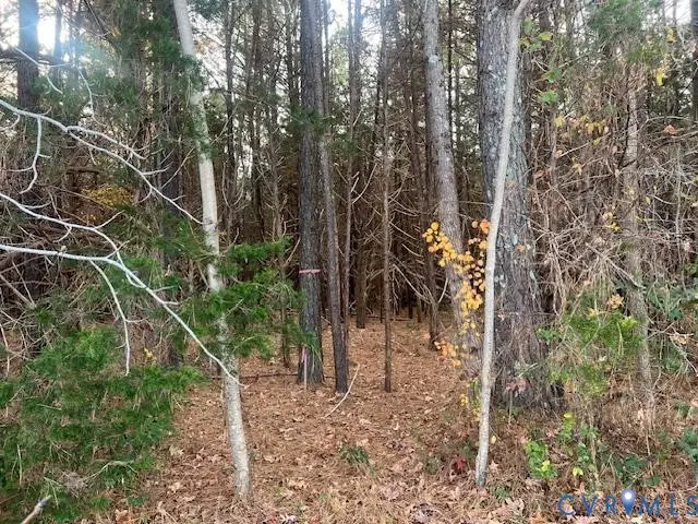 0 Craig Mill Road, South Hill, VA 23970 - Image #2