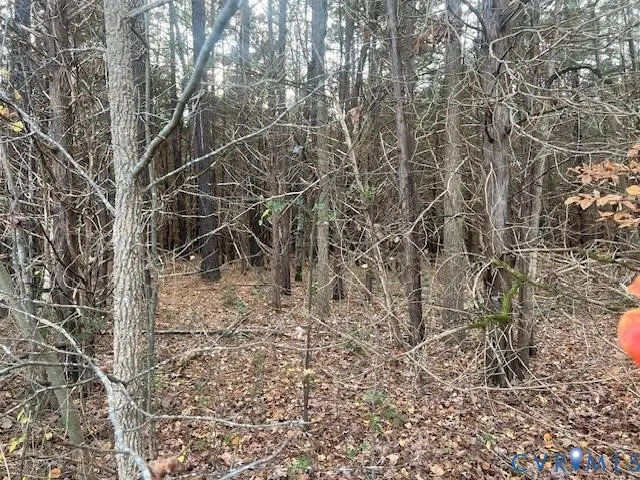 0 Craig Mill Road, South Hill, VA 23970 - Image #3