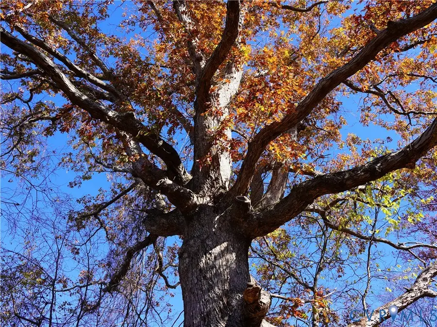 2579 Red Lane Road, Powhatan, VA 23139 - Image #2