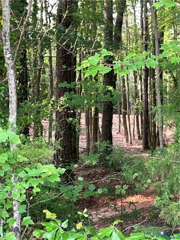 0 Islington Rd, Warsaw, VA 22572 - Image #2