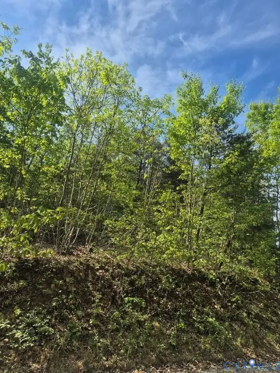 Lot 16 Mountain Creek Rd, Green Bay, VA 23942 - #2