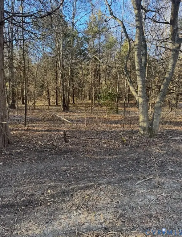 16374 Saint Peters Church Rd, Montpelier, VA 23192 - Image #2