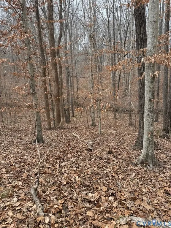 00 Bell Road, Powhatan, VA 23139 - #1