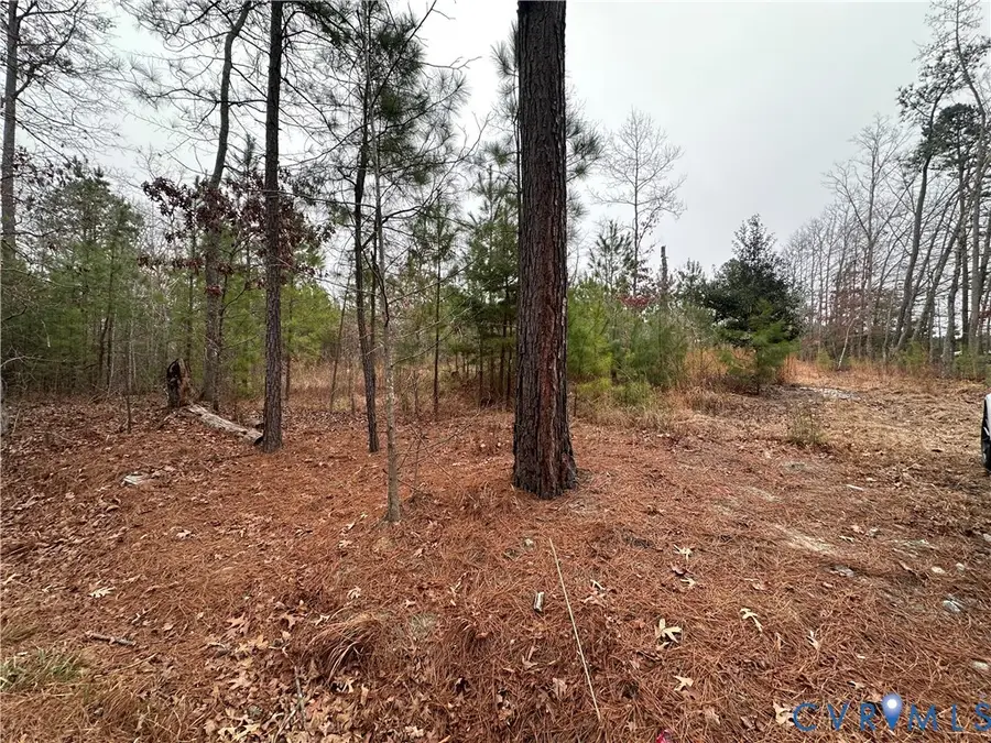 10121 Beaver Bridge Road, Chesterfield, VA 23838 - Image #3