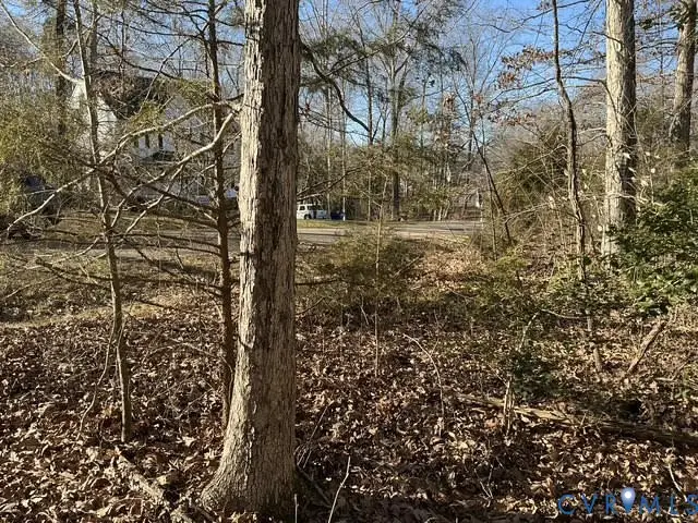 12225 Tavern Hill Court, Chesterfield, VA 23832 - Image #2