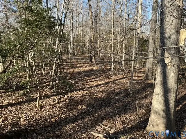 12225 Tavern Hill Court, Chesterfield, VA 23832 - Image #3