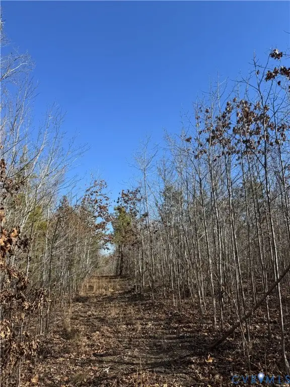 0 Freshwater Creek Road, Mineral, VA 23117 - #3