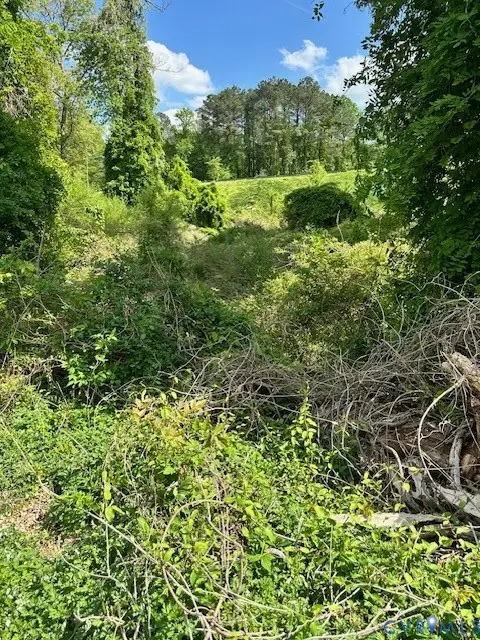 10031 Twin Valley Road, Richmond, VA 23235 - Image #3