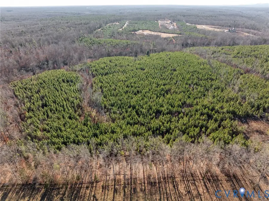 0000 Paddock Wood Road, Louisa, VA 23093 - Image #3