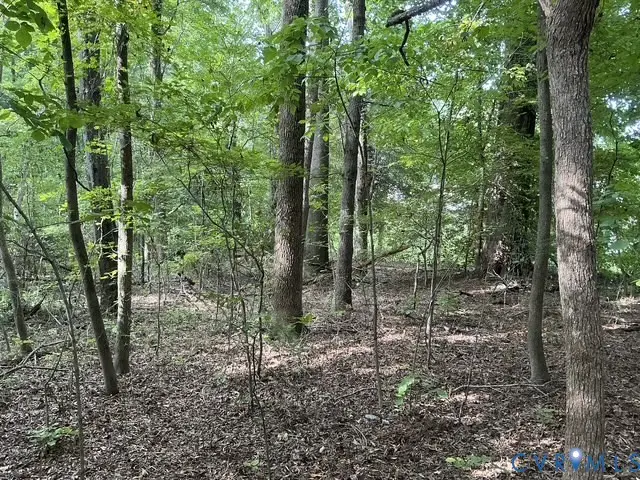 350 Youngs Road, Petersburg, VA 23803 - Image #3