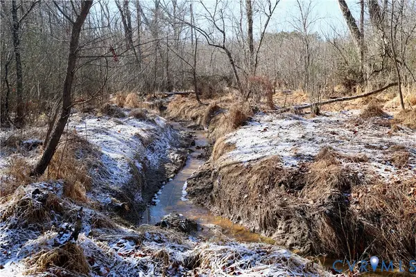 0 Beaver Acres Lane, Buffalo Junction, VA 24529