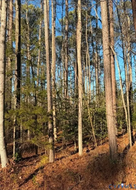 119 American Drive, Ruther Glen, VA 22546 - Image #1