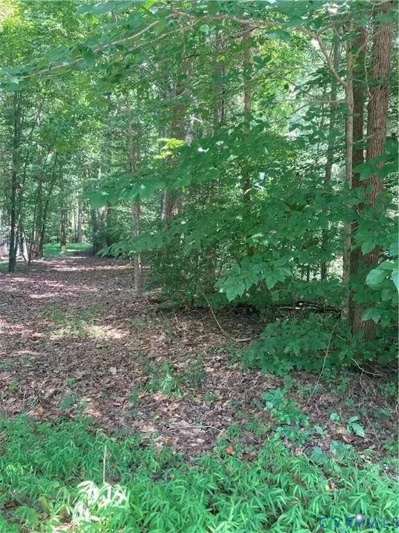 TBD Old Quarter Lane, New Kent, VA 23124