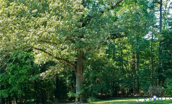 8.47 Acres Patrick Henry Highway, Jetersville, VA 23083