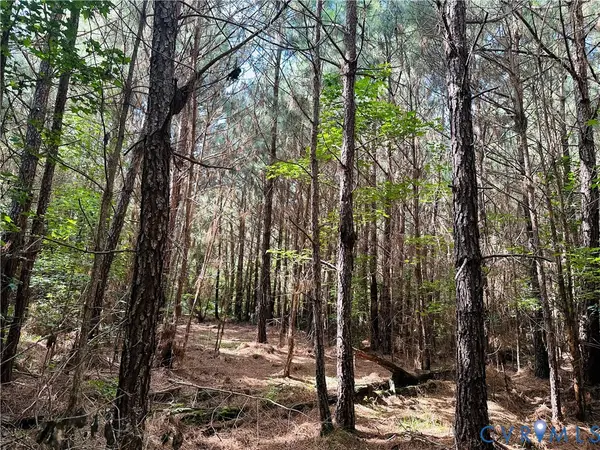 00 Parcel B Turnpike Rd, Bohannon, VA 23021