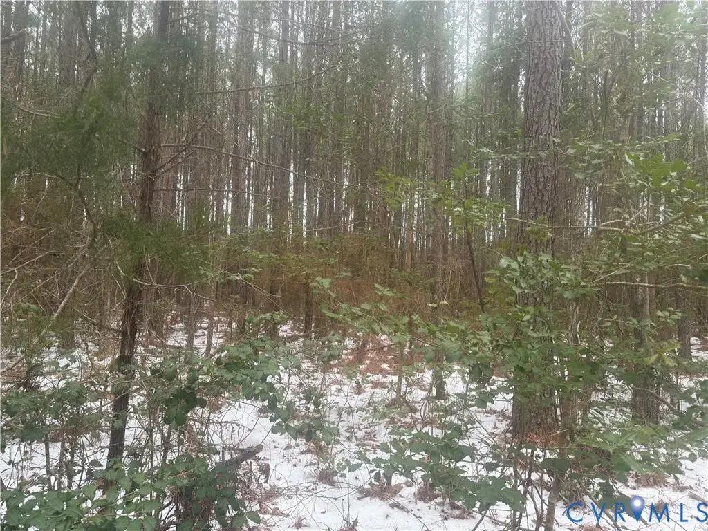 TBD Sandy Point, Charles City, VA 23030 - #1