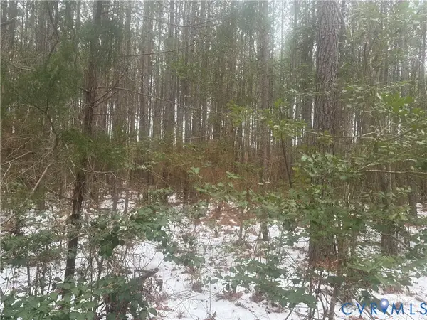 TBD Sandy Point, Charles City, VA 23030