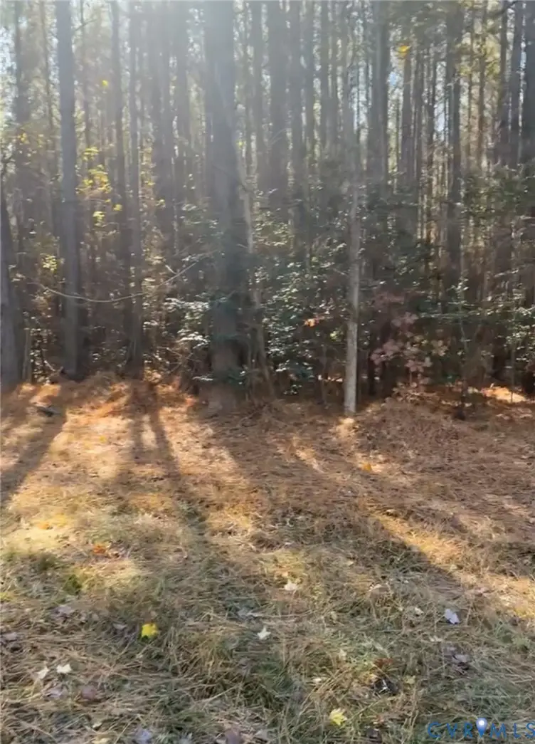 TBD Wilcox Neck Rd, Charles City, VA 23030 - #3