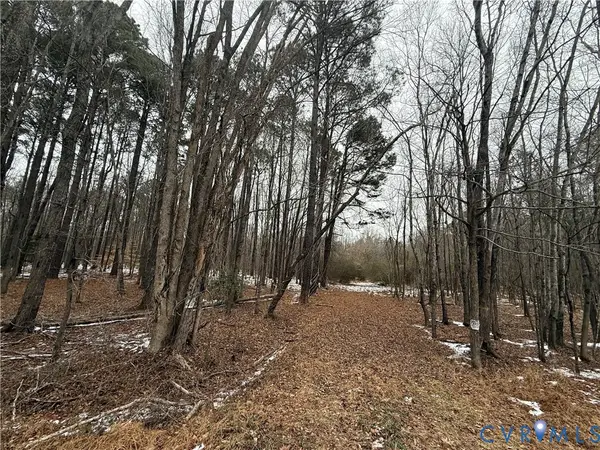 16410 John Tyler Memorial Highway, Charles City, VA 23030