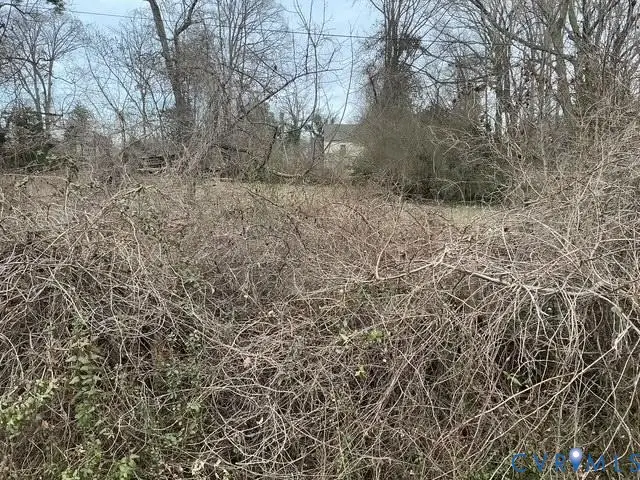 9001 Oak Lawn Street, Bellwood, VA 23237 - #1