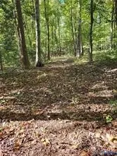 0 Courthouse Road, Dinwiddie, VA 23841