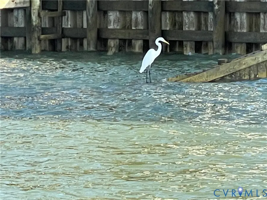 81 Northumberland (1.38 Acres) Drive, Lottsburg, VA 22511 - #3