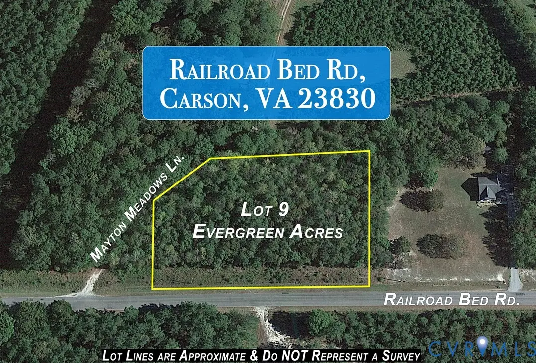 Lot 9 Railroad Bed Road, Carson, VA 23830 - #1