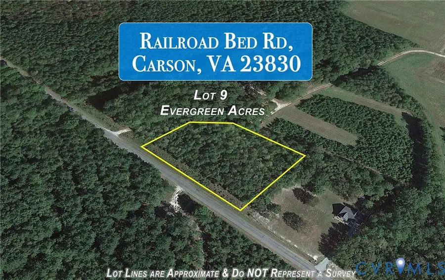 Lot 9 Railroad Bed Road, Carson, VA 23830 - #2