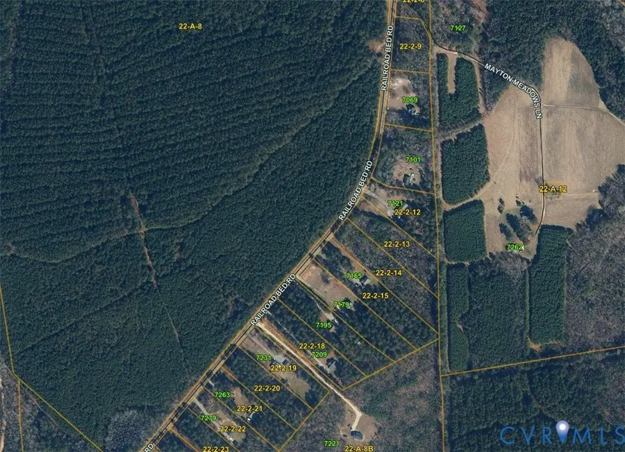 Lot 20 Railroad Bed Road, Carson, VA 23830 - #3