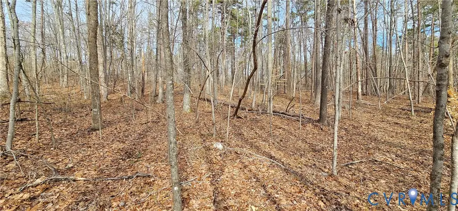 9-A-61 Springfield Road, Meherrin, VA 23954 - #2