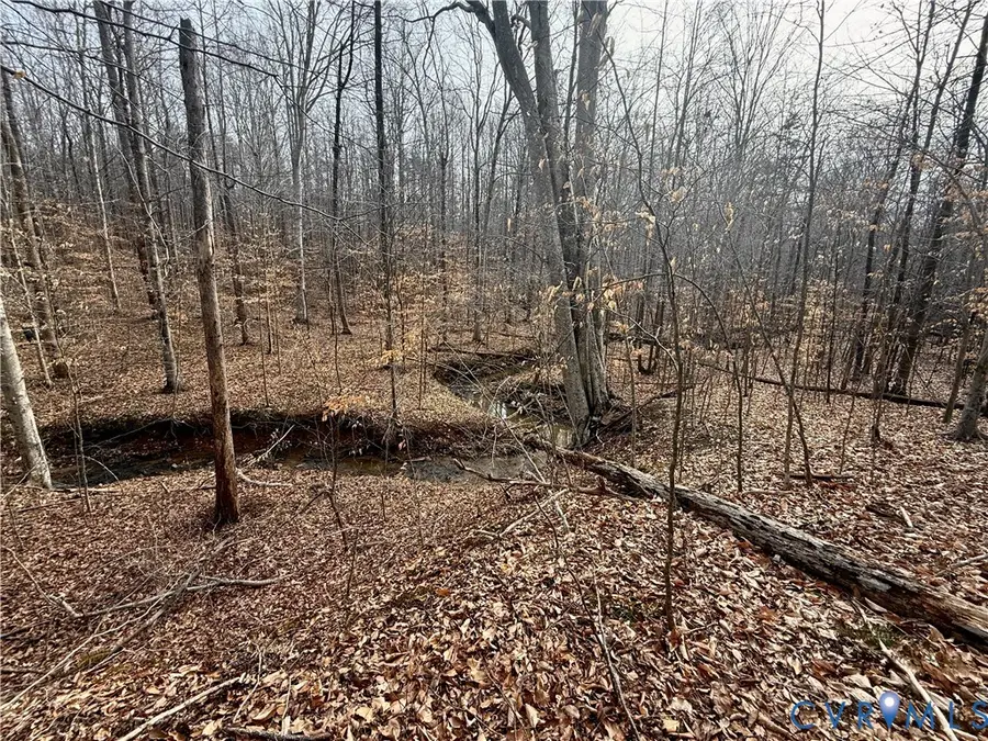 62 Willis Bluff Lane, Cumberland, VA 23040 - #3