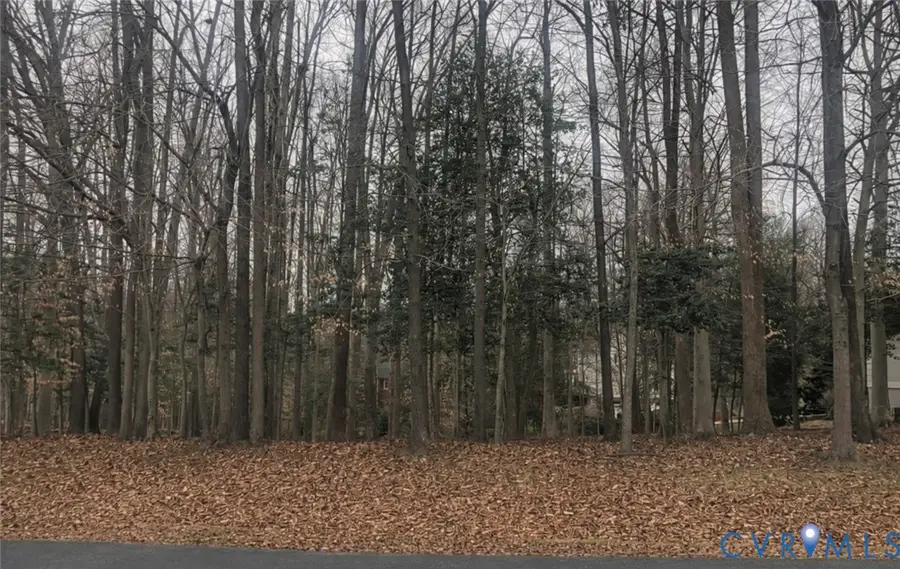 12704 Kelsey Pointe Court, Chester, VA 23831 - #3