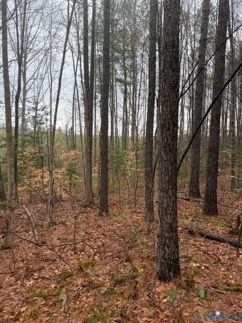 000 Cherry Hill Rd, McKenney, VA 23872 - #2