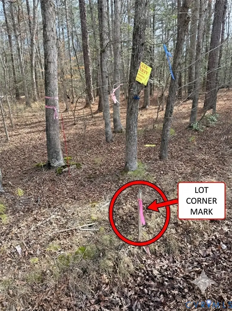 None Old Washington Highway, Glen Allen, VA 23059 - #2