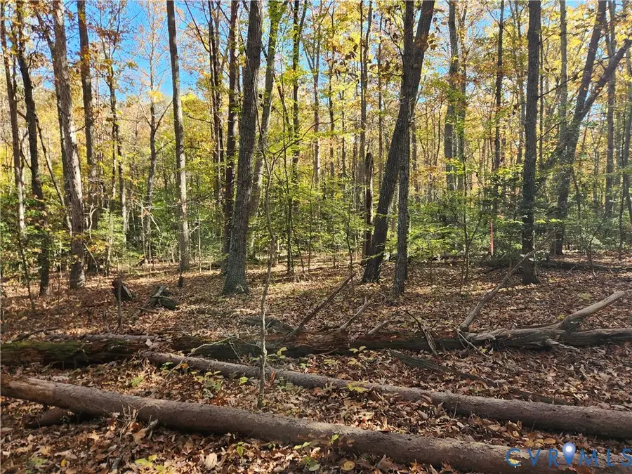 Address Withheld By Seller, Sandy Hook, VA 23153 - #3