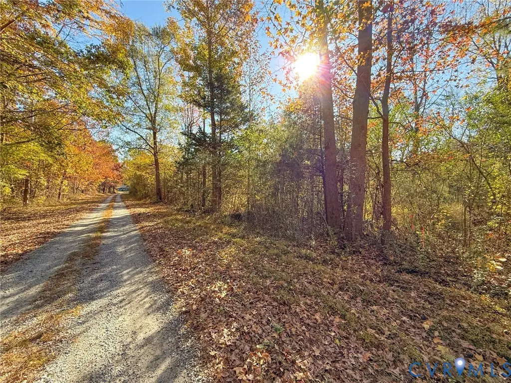 400 Lovely Zion Road, Rawlings, VA 23876 - #1