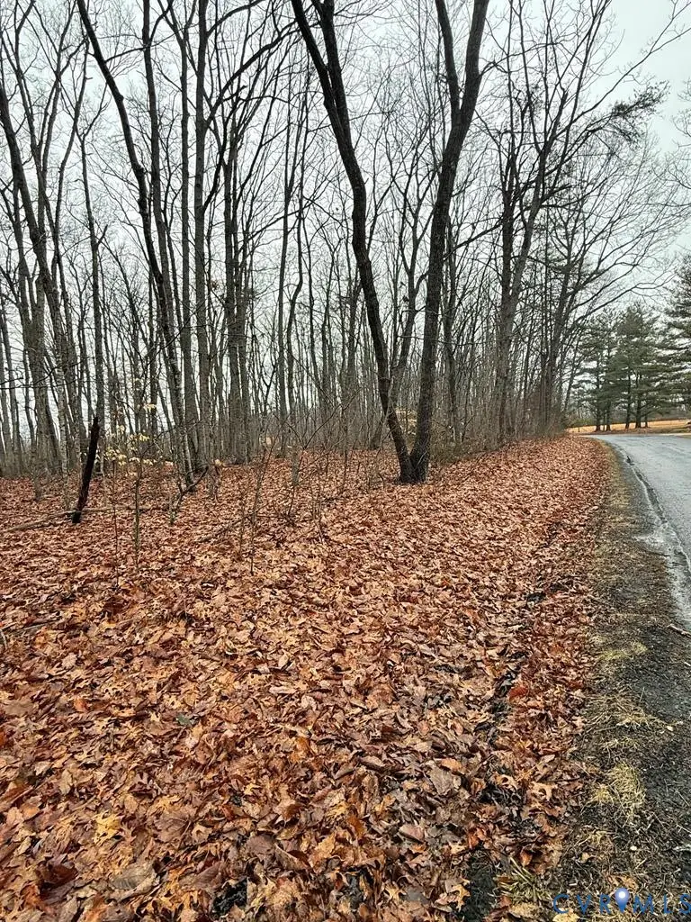 0 Forest Chapel Road, Pamplin, VA 23958 - #1