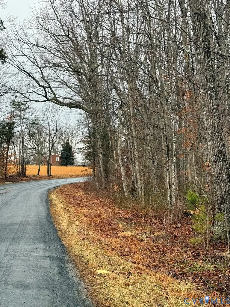 0 Forest Chapel Road, Pamplin, VA 23958 - #3