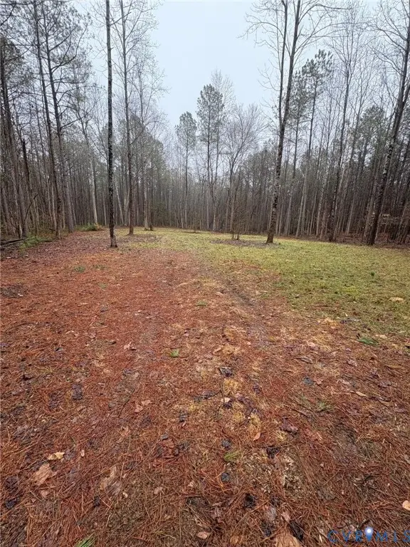 0 and 00 Devils Three Jump Road, Little Plymouth, VA 23091 - #2