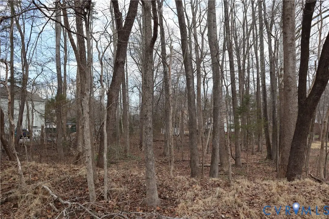 1408 Mill Quarter Rd, Powhatan, VA 23139 - #1