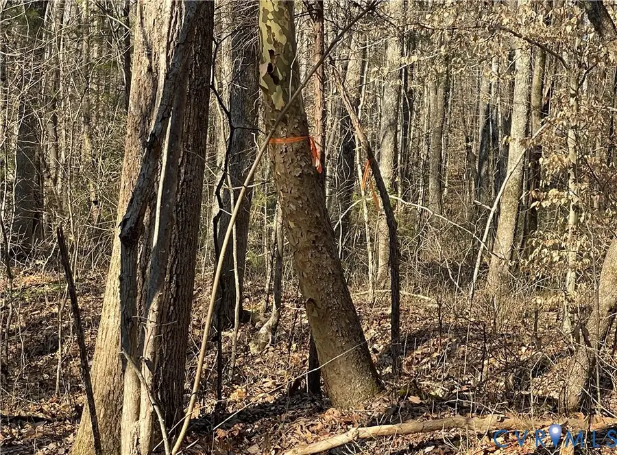 8.2AC Plantersville, Drakes Branch, VA 23937 - #3