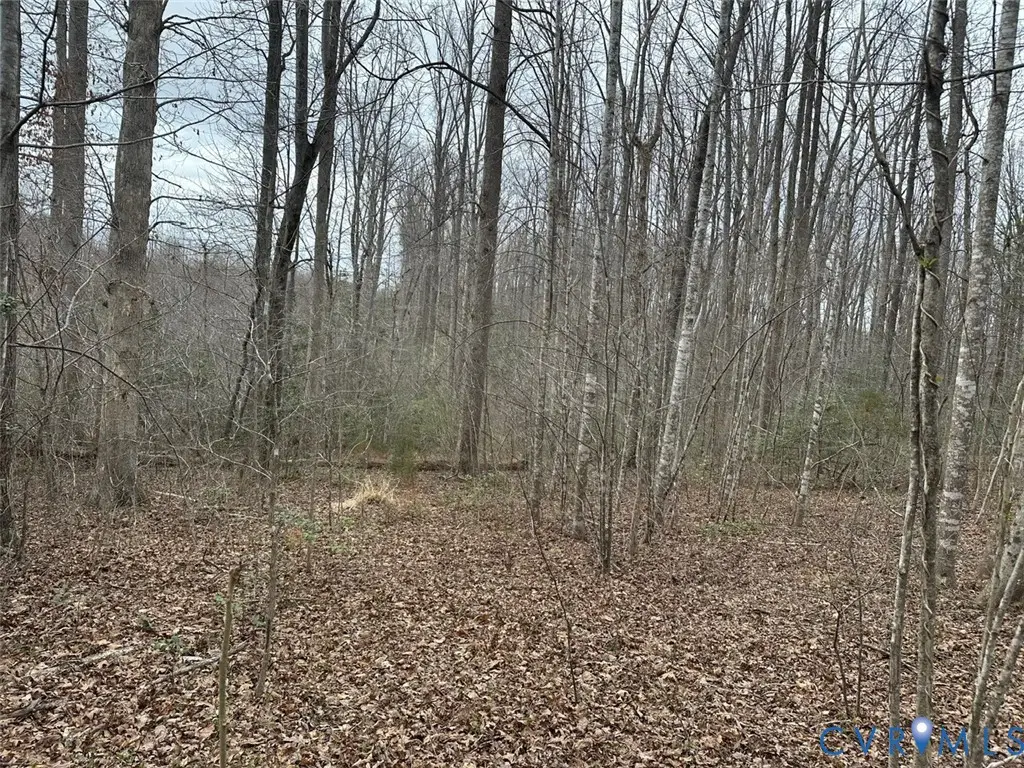 2435 Magnolia Ridge, Maidens, VA 23102 - #1